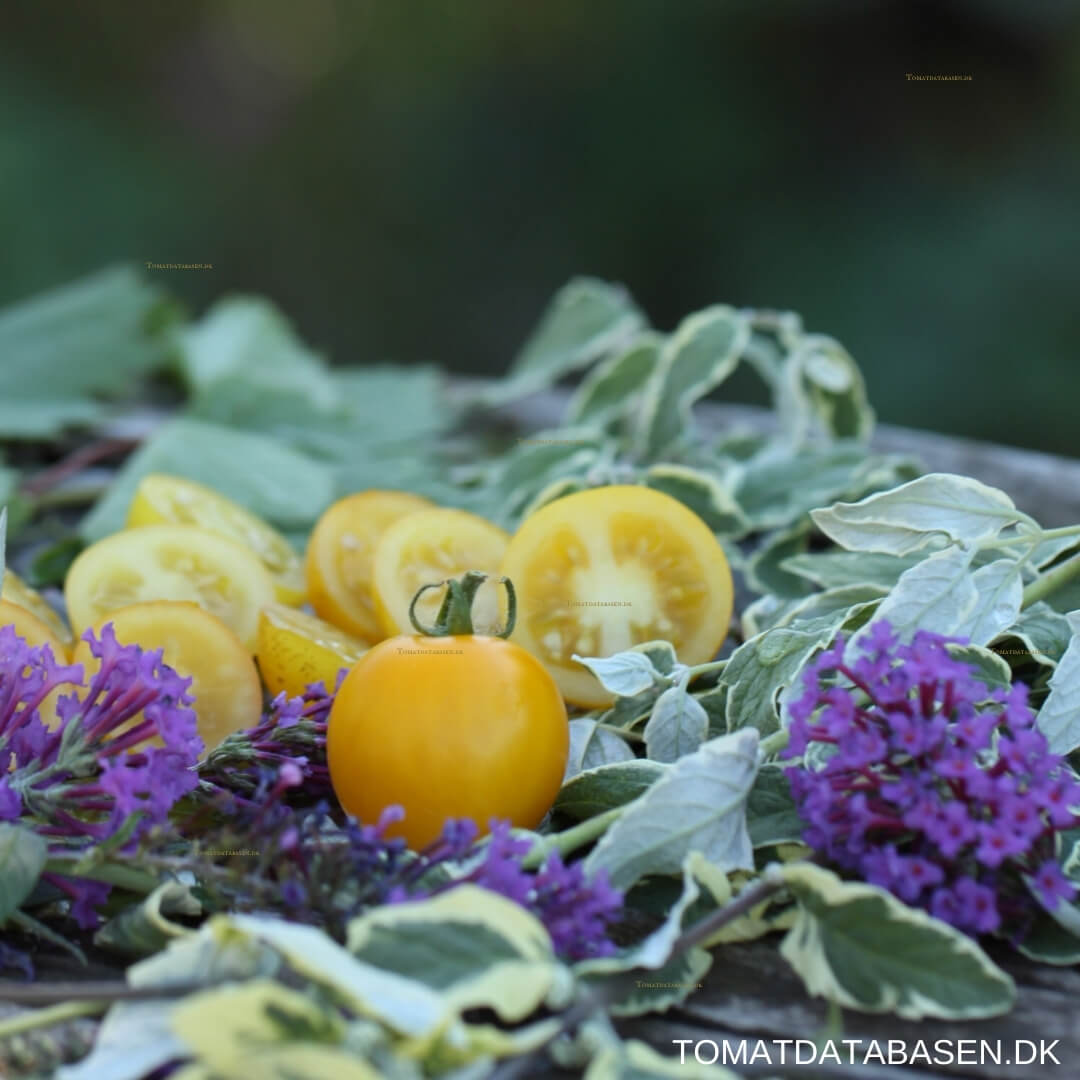 Floragold Basket